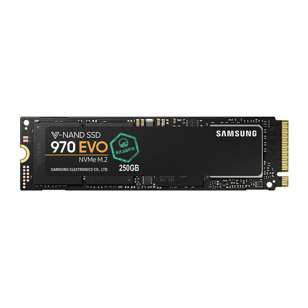 250GB NVMe SSD