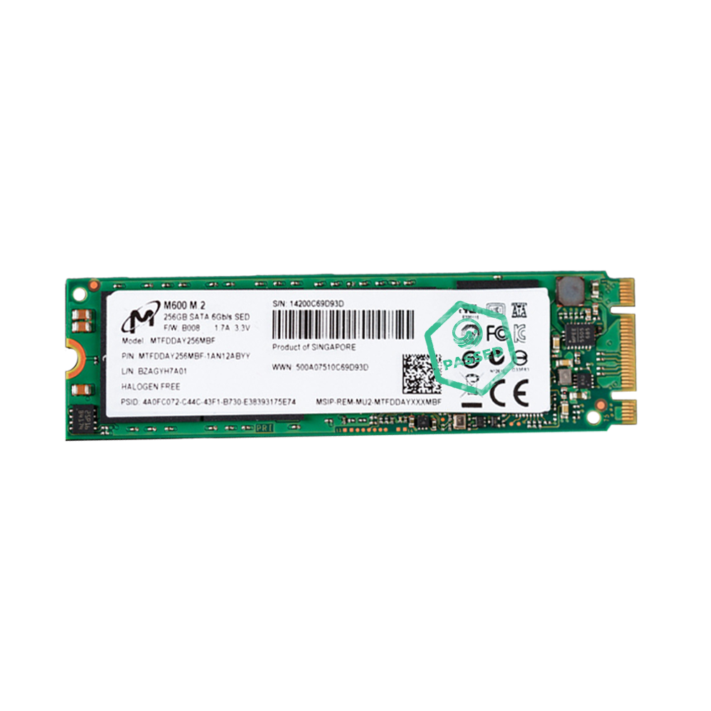 256GB M.2 SATA SSD