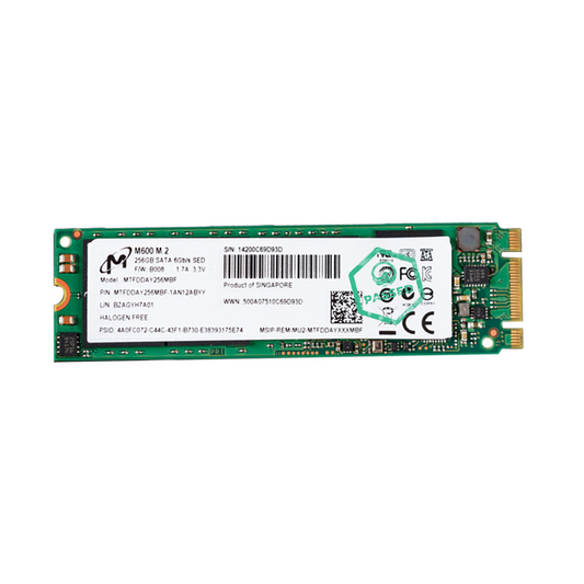 256GB M.2 SATA SSD
